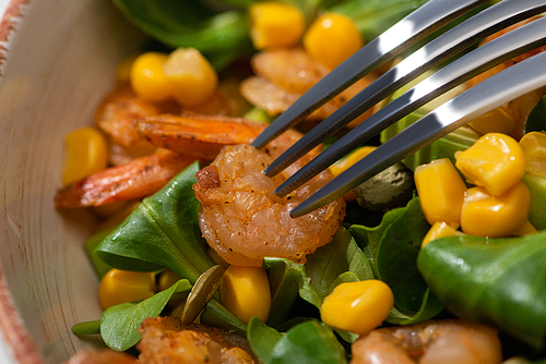 close up view of fork and fresh green salad with pumpkin seeds, corn, shrimps and avocado