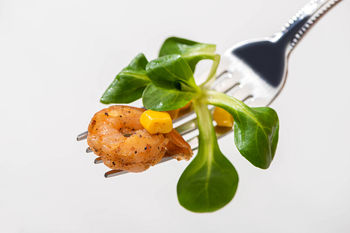 close up view of fresh microgreen with shrimp and corn on fork isolated on white