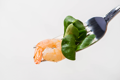close up view of fresh microgreen with shrimp on fork isolated on white