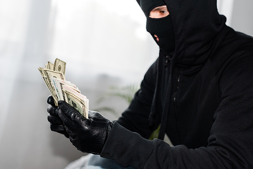 Side view of robber in balaclava holding dollar banknotes