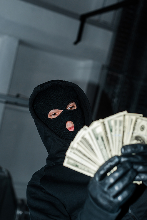 Low angle view of robber in balaclava holding dollar banknotes