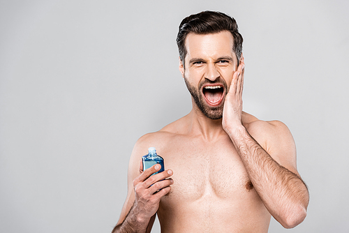 muscular man screaming while holding bottle with after shave lotion isolated on grey