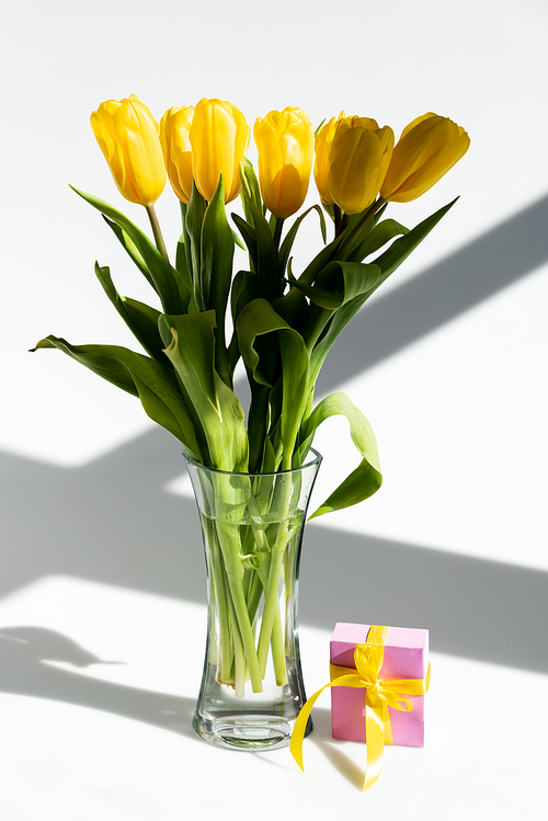 sunlight on yellow tulips in vase near gift box on white, mothers day concept