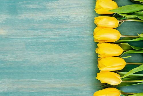 top view of yellow tulips on blue textured surface, mothers day concept