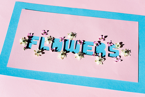 greeting card with flowers lettering on pink and blue