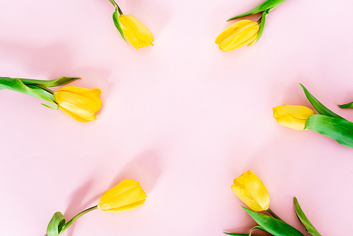top view of yellow tulips on pink, mothers day concept