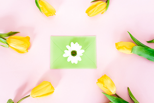 top view of green envelope with white chrysanthemum near yellow tulips on pink, mothers day concept