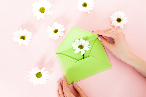 cropped view of woman holding green envelope near white flowers on pink