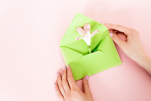 cropped view of woman holding green envelope with alstroemeria flower on pink, mothers day concept