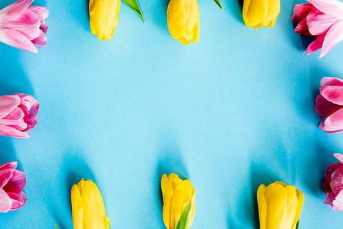 top view of blooming yellow and pink tulips on blue, mothers day concept