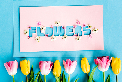 top view of yellow and pink tulips near greeting card with flowers lettering on blue, mothers day concept