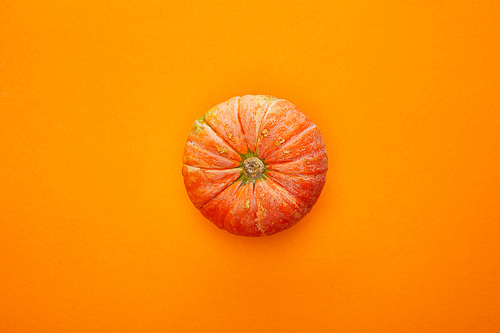 top view of pumpkin on orange background,  concept