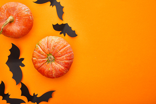 top view of pumpkin, bats on orange background, Halloween decoration