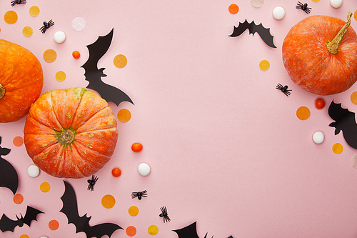 top view of pumpkin, bats and spiders with confetti on pink background, Halloween decoration