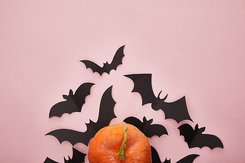 top view of pumpkin and paper bats on pink background, Halloween decoration