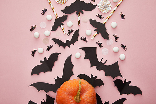 top view of pumpkin, bats and spiders on pink background, Halloween decoration