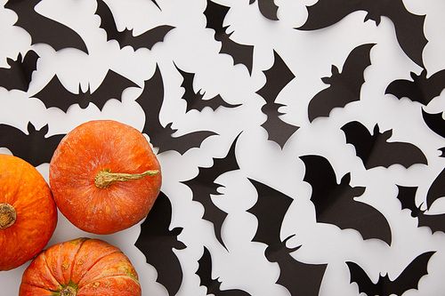 top view of pumpkins and paper bats on white background, Halloween decoration