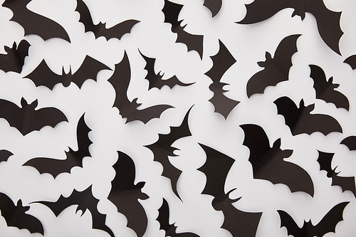 top view of paper black bats on white background, Halloween decoration