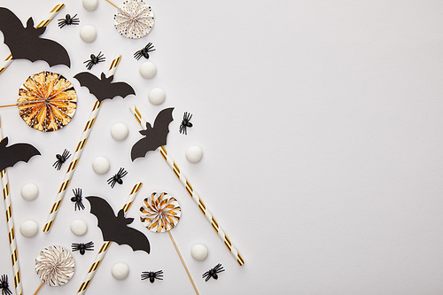 top view of bats and spiders on white background, Halloween decoration