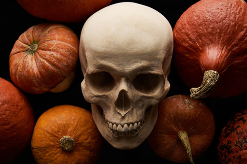 pumpkins and skull on black background, Halloween decoration
