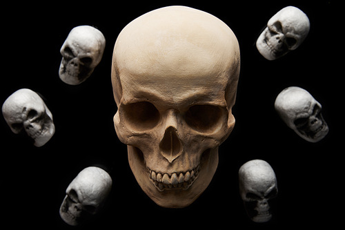 spooky skulls isolated on black, Halloween decoration