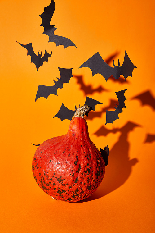 pumpkin and paper bats with shadow on orange background, Halloween decoration