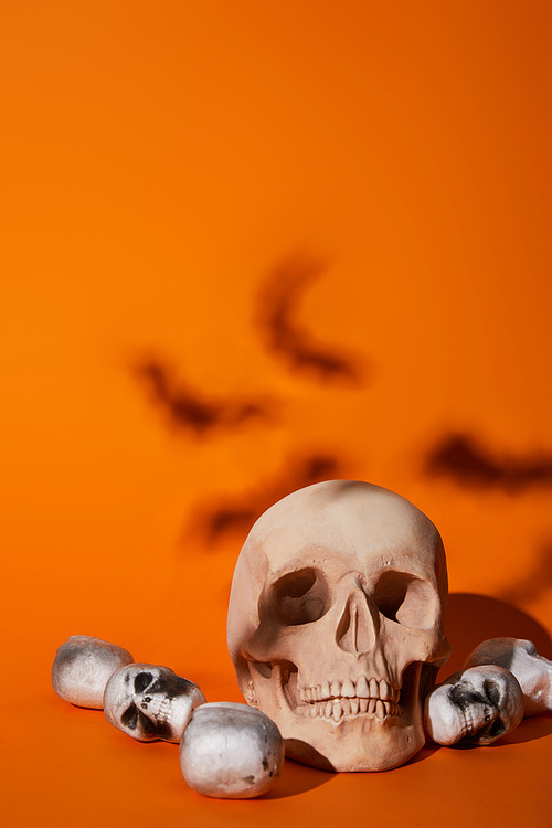 skulls with bats shadow on orange background, Halloween decoration