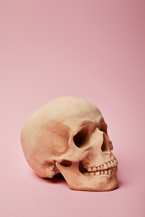 spooky human skull on pink background, Halloween decoration