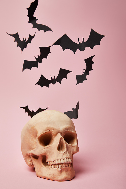 spooky human skull with bats on pink background, Halloween decoration