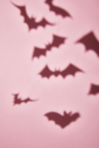shadow of flying bats on pink background, Halloween decoration