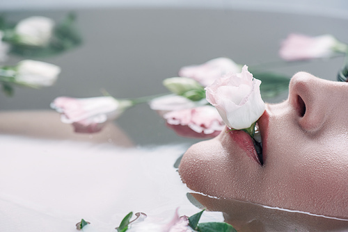 partial view of beautiful woman lying in clear water with rose in mouth