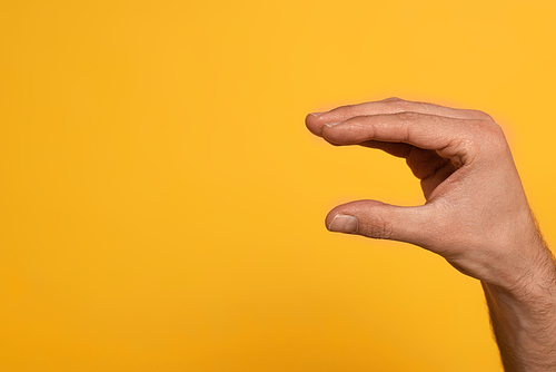 Cropped view of man showing letter from Cyrillic sign language isolated on yellow