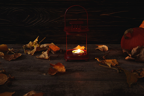 pumpkin, autumnal leaves and burning candle on wooden rustic table