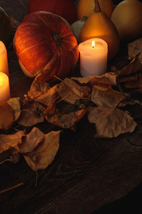 dry foliage, burning candles, ripe pumpkin on wooden rustic table
