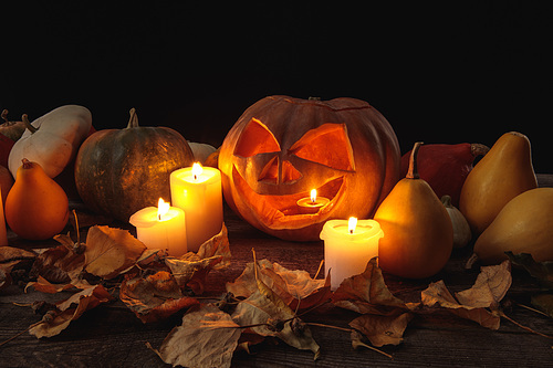 dry foliage, burning candles and Halloween carved pumpkin on wooden rustic table isolated on black