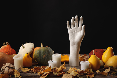 dry foliage, candles, ripe pumpkins and decorative hand on wooden rustic table isolated on black