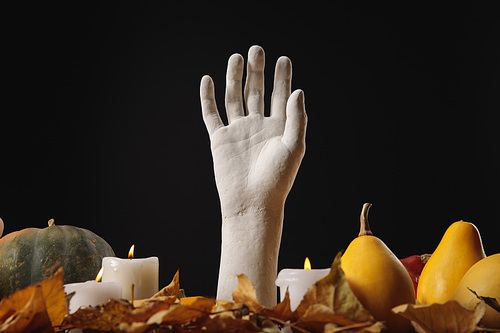 dry foliage, burning candles, ripe pumpkins and decorative hand on wooden rustic table isolated on black