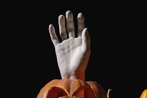 decorative hand in carved Halloween pumpkin isolated on black