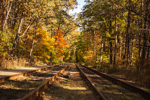 railway in scenic autumnal forest with golden foliage in sunlight