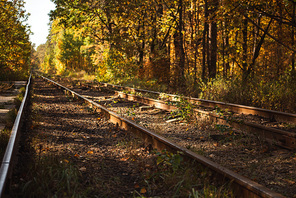 railway in autumnal forest with golden foliage in sunlight