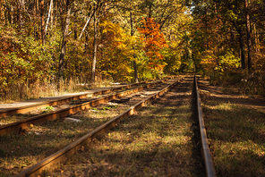 railway in autumnal forest with golden foliage in sunlight