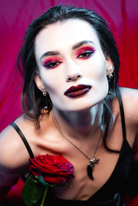 high angle view of young woman with blood on face  and holding rose on red