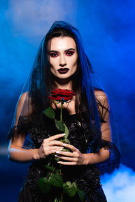 brunette bride in black dress and veil holding red rose on blue with smoke, halloween concept