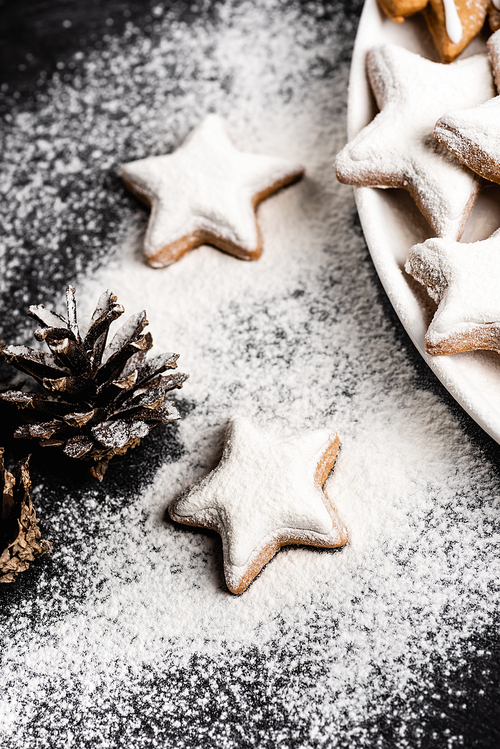 Gingerbread cookies near pine cone covered with sugar powder