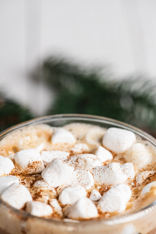 Close up view of glass cup of cocoa with marshmallows and cinnamon