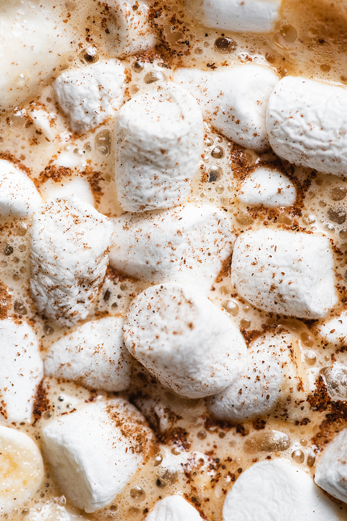 Close up view of cocoa with marshmallows and cinnamon