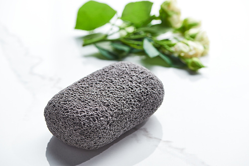 close up view of gray pumice stone near plant branch on white surface