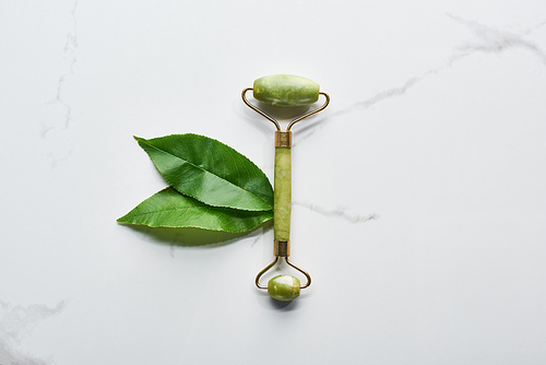 top view of facial roller and leaves on marble surface