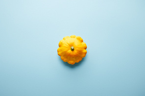 ripe whole colorful Pattypan squash on blue background