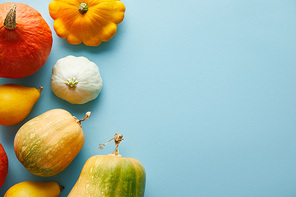 ripe whole colorful pumpkins on blue background with copy space